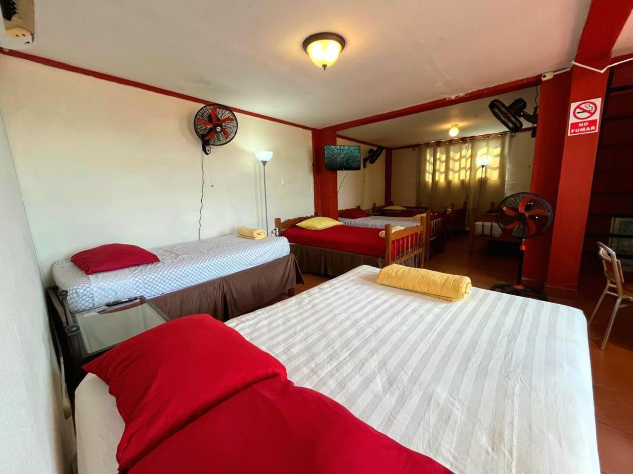 Hostal Lolita'S Boutique Granada Eksteriør billede